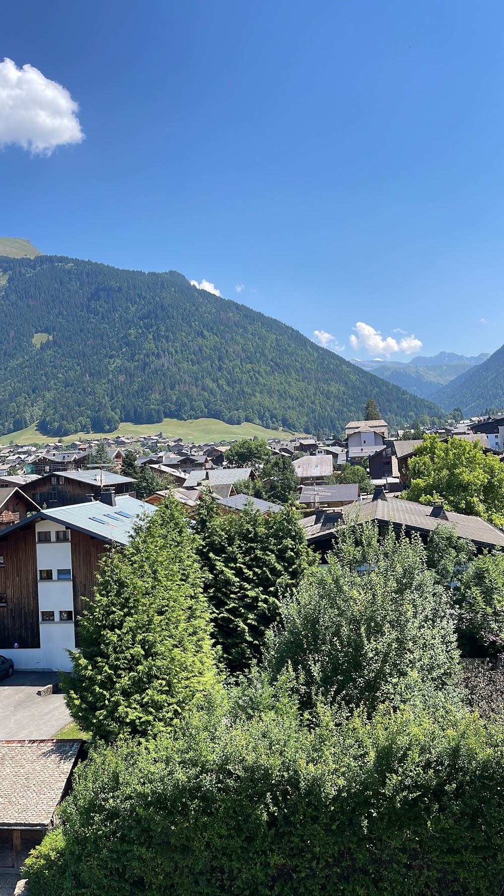 Hôtel les Fleurs, hôtel à Morzine