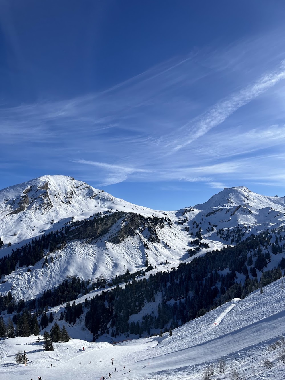 Perle De Savoie, chalet à Châtel