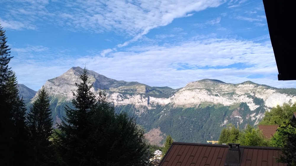 Skiology | Chalet Deux Freres, chalet à Arâches-la-Frasse