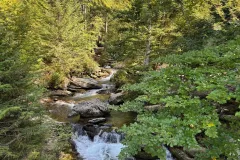 cascade-ardent-06