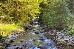 cascade-ardent-17
