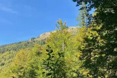 cascade-ardent-21