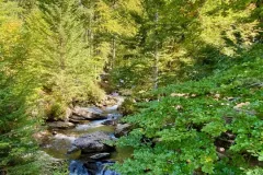 cascade-ardent-23