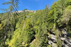 cascade-ardent-26