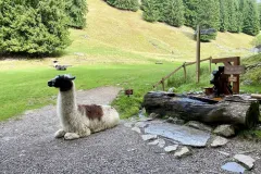 parc-de-merlet-034