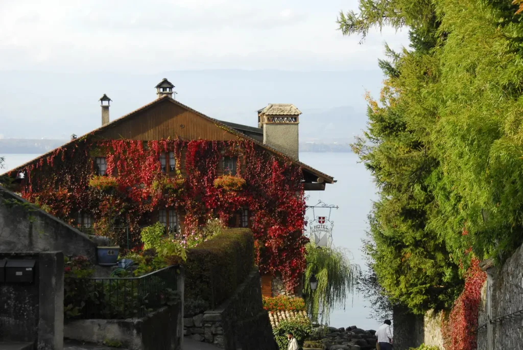 Restaurant en bord de lac à Yvoire