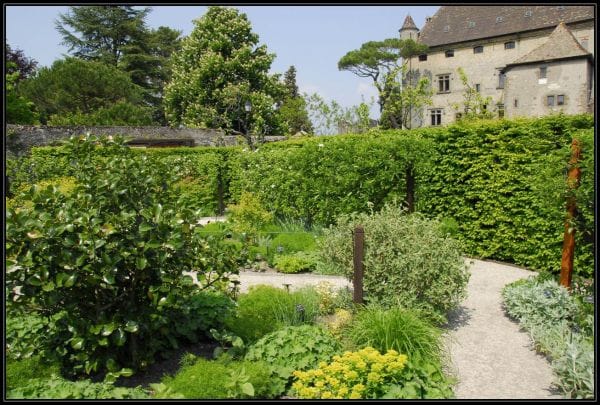 Vue du labyrinthe végétal du Jardin des Cinq Sens à Yvoire"