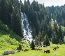 Cascade des Brochaux au cœur de la Vallée d'Aulps