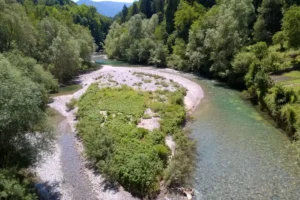 alby-sur-cheran rivière sauvage