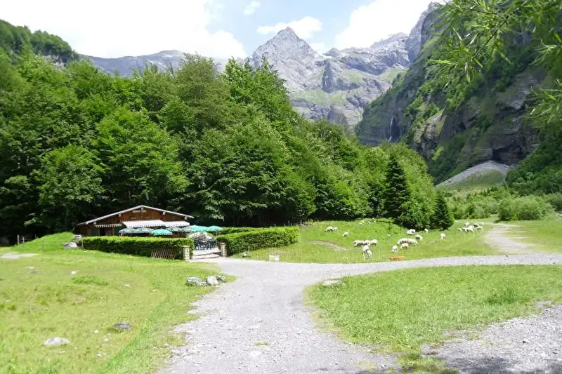Buvette du Prazon