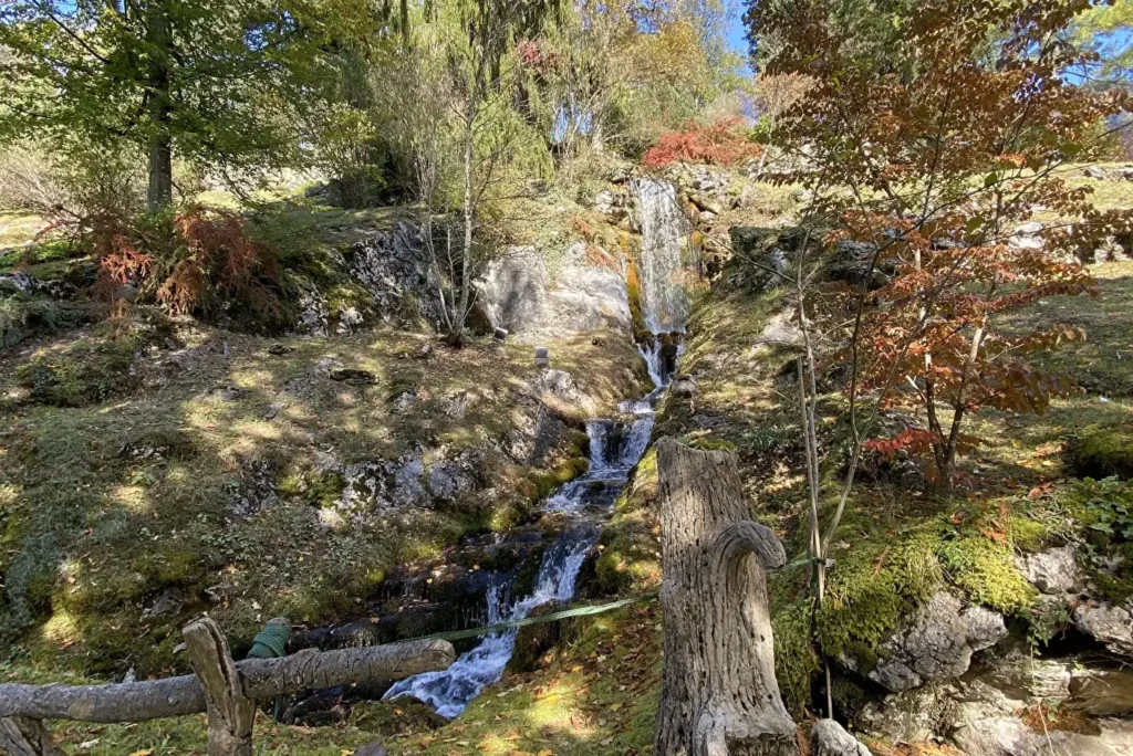 Le jardin de la Jaysinia