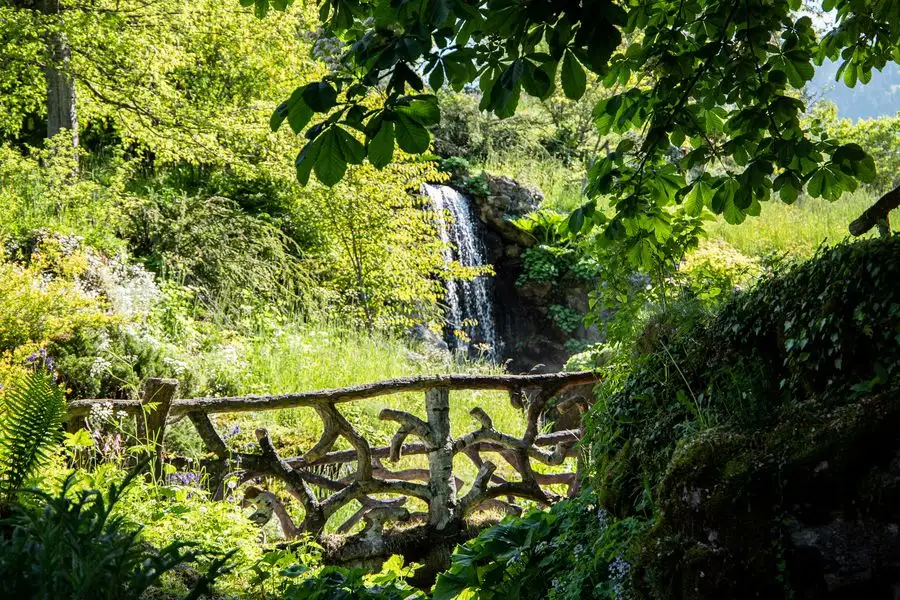 Le Jardin botanique alpin La Jaÿsinia à Samoëns