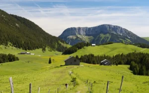 Alpages au plateau des Glières