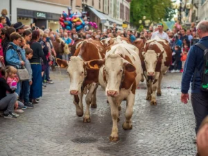 descente des alpages Annecy