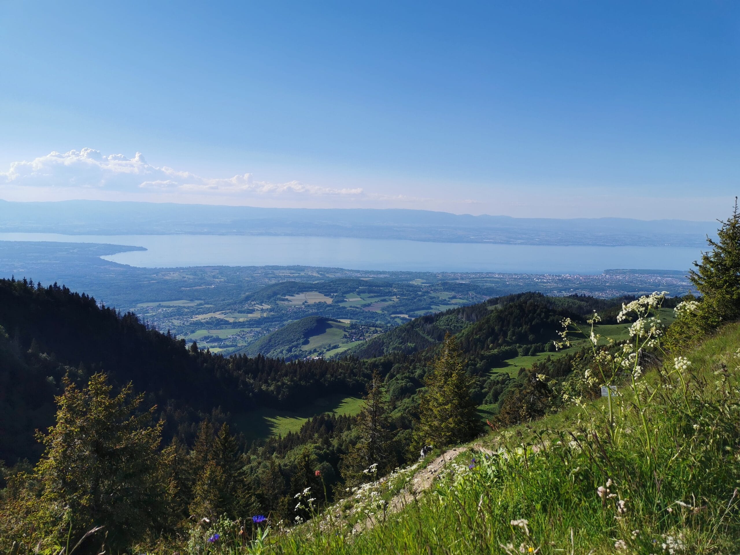 Le Mont Forchat