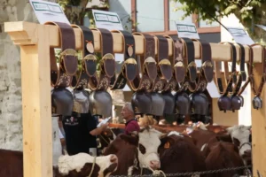 Foire de la Saint Maurice à Thônes