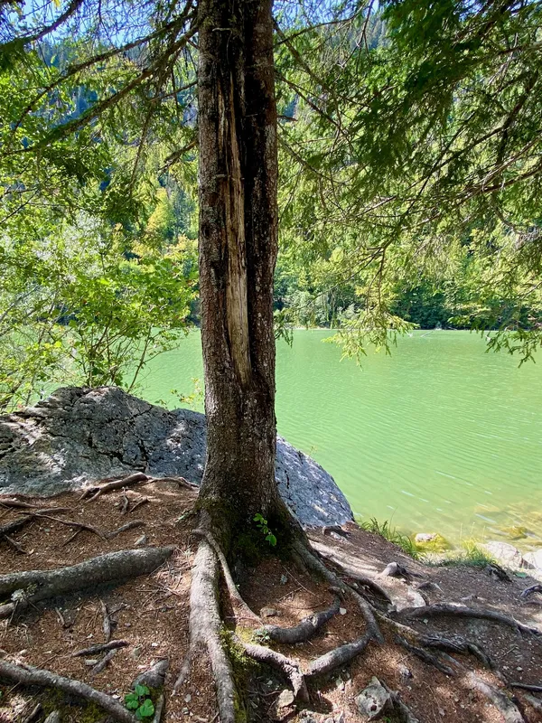 vue sur le lac de Vallon aux eaux émeraude