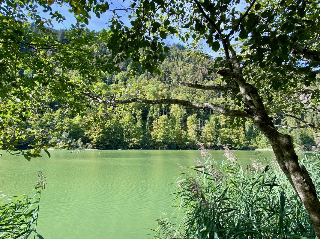 vue sur le lac de Vallon aux eaux émeraude