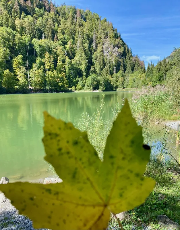 vue sur le lac de Vallon aux eaux émeraude