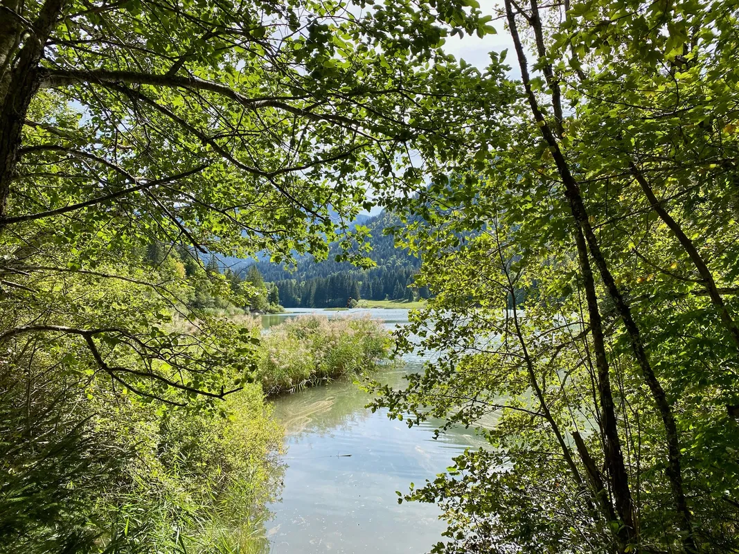 vue sur le lac de Vallon depuis le sentier forestier