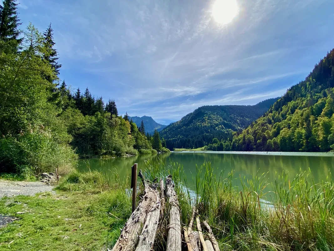 vue sur le lac de Vallon depuis le sentier forestier