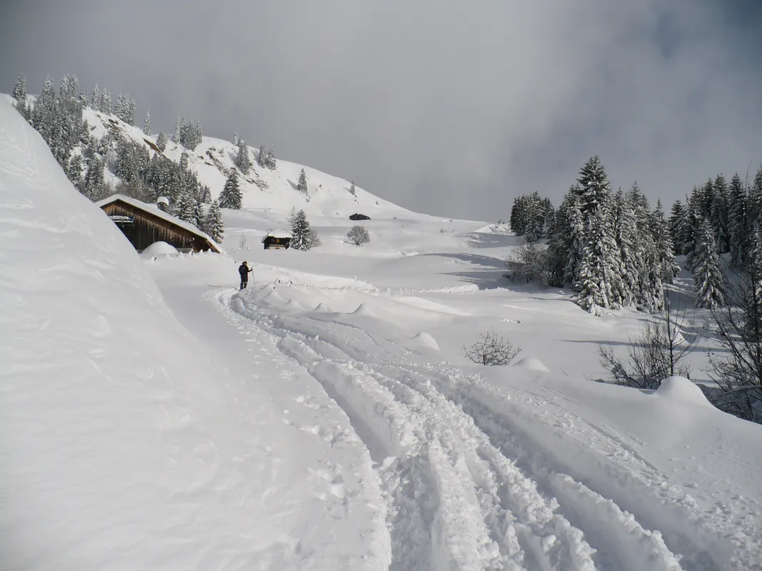 En direction du refuge de la Golèse, sur les hauteurs de Samoëns