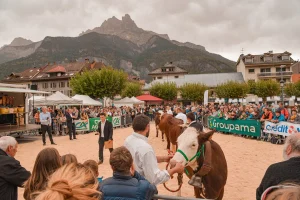 Foire Froide 2022 ©Wendy Coulon