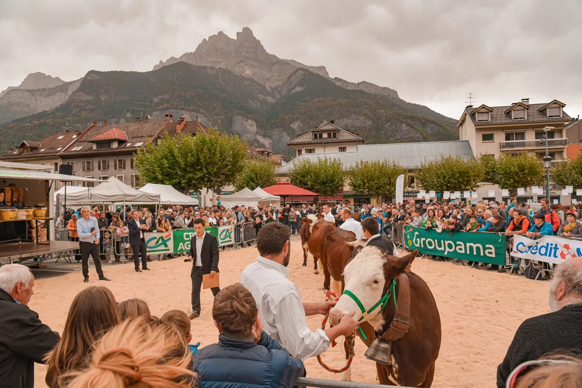 Foire Froide 2022 ©Wendy Coulon