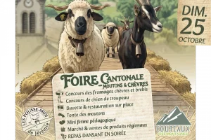 Foire cantonale aux moutons et aux chèvres de Manigod